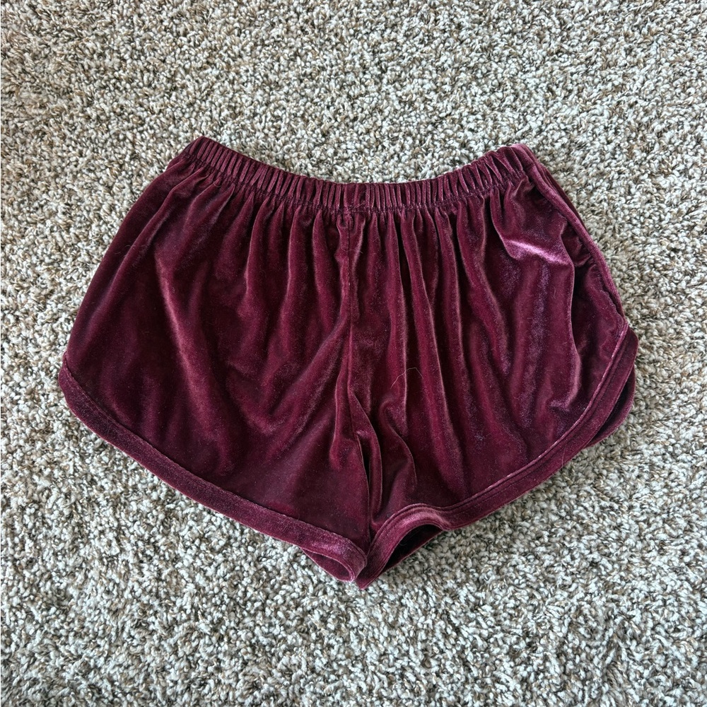 John Galt Brandy Melville Velvet Shorts